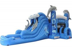 5 in 1 Dolphin Wet/Dry Bounce House Combo